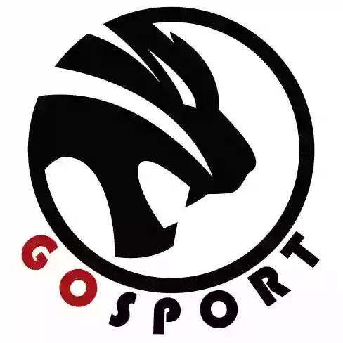 GoSport интернет-магазин спортивной одежды