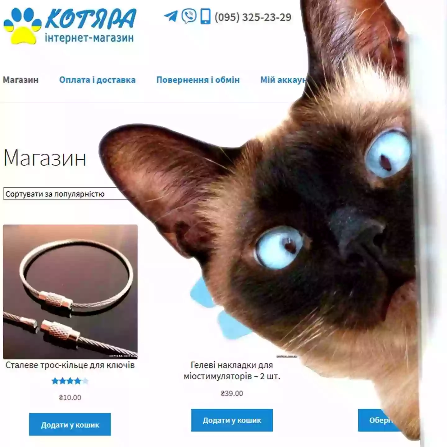 Інтернет-магазин "Котяра"