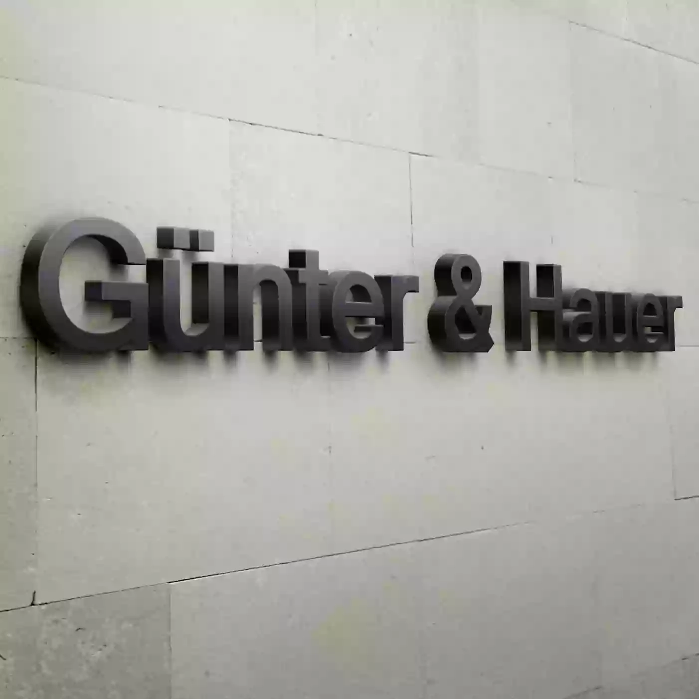 Інтернет-магазин Günter & Hauer: вбудована побутова техніка
