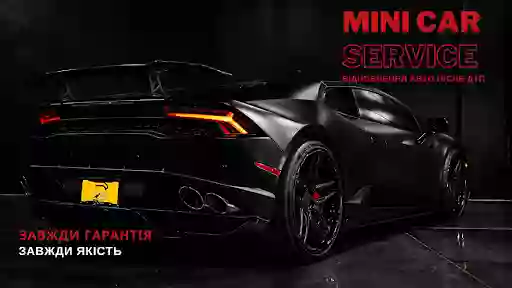 Mini Car Service