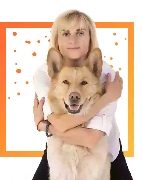 Собачья школа Марины Прокопенко