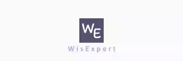 Бухгалтерська компанія WisExpert