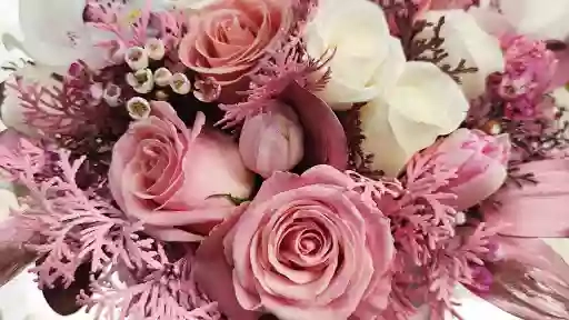 Квіти - Цветы - Flowers