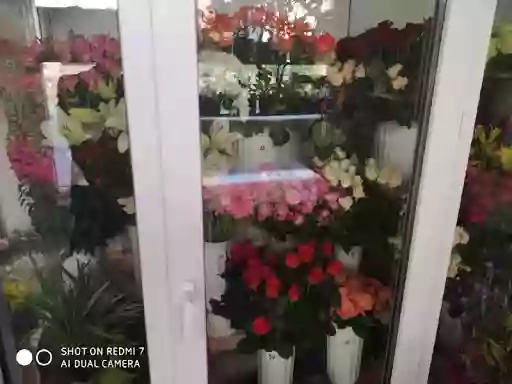 Квіти на Пулюя
