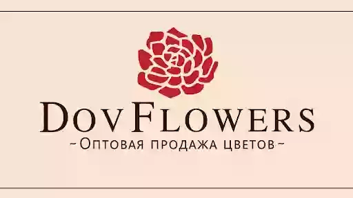 DovFlowers