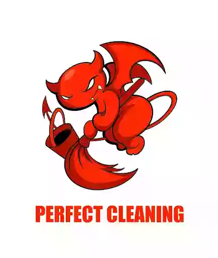 PERFECT CLEANING