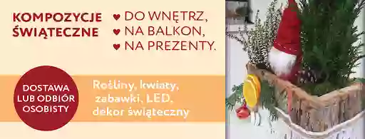 Pracownia florystyczna Malwa-Prezenty.Pl