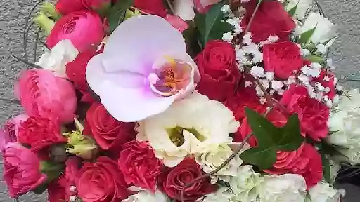 Kwiaciarnia Mokotów "Kwiatuszek" Świeże kwiaty Wiązanki Bukiety