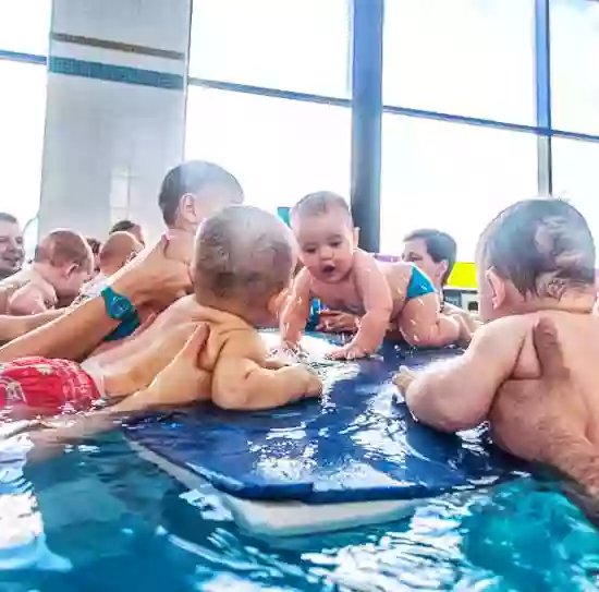 Fregata Swimming Nauka pływania niemowląt i dzieci