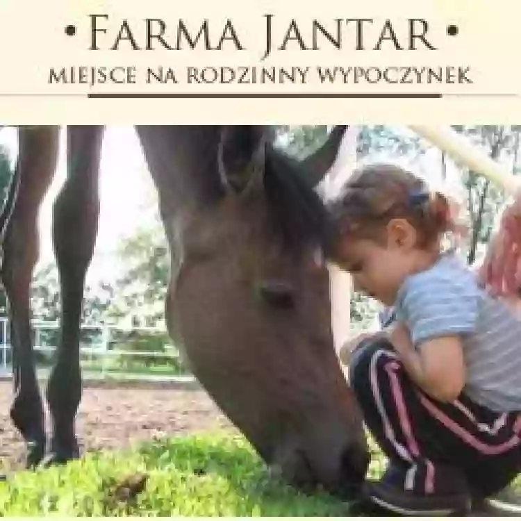 Ośrodek Wypoczynkowy Farma Jantar