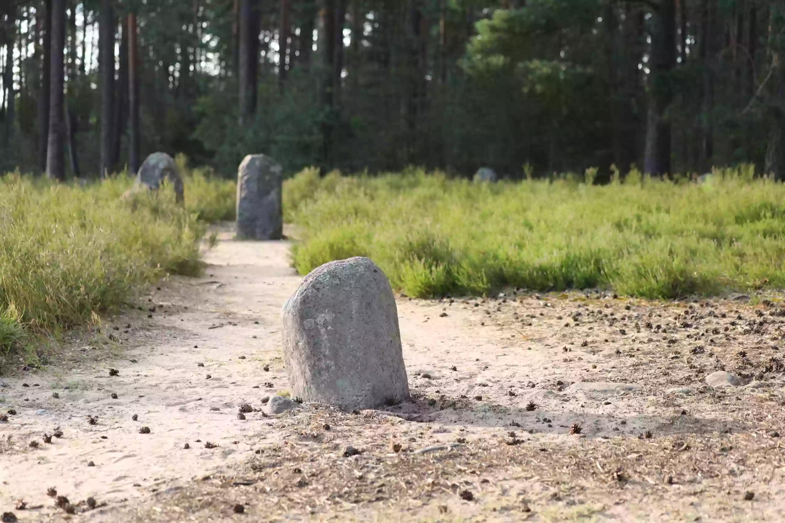 Rezerwat Przyrody Kręgi Kamienne w Odrach