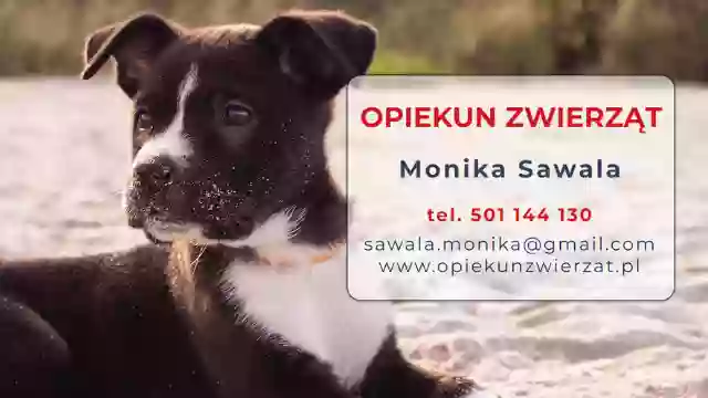 Monika Sawala - Opiekun Zwierząt, Zoopsycholog, Trener psów, Hotel dla psów