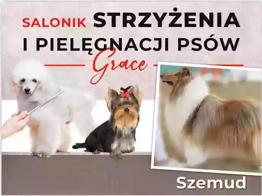 Strzyżenie i pielęgnacja psów "Salonik Grace". Psi fryzjer.
