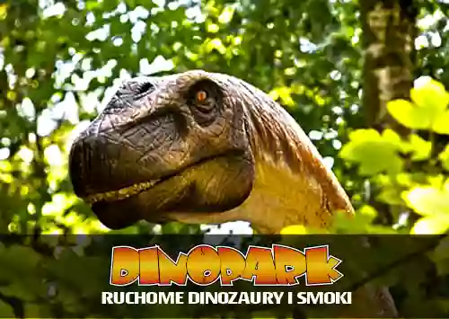 Dinopark Park Dinozaurów i Smoków w Malborku