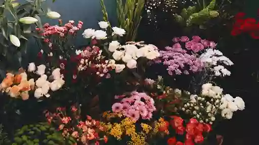 Kwiaciarnia Renata