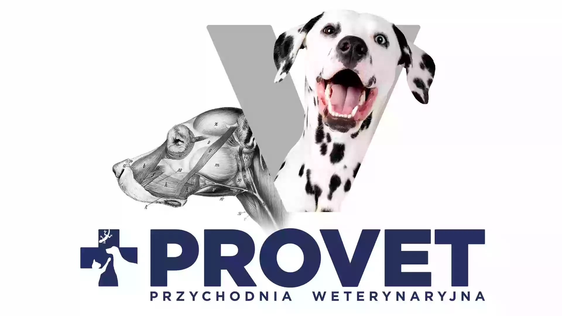 PROVET Przychodnia Weterynaryjna