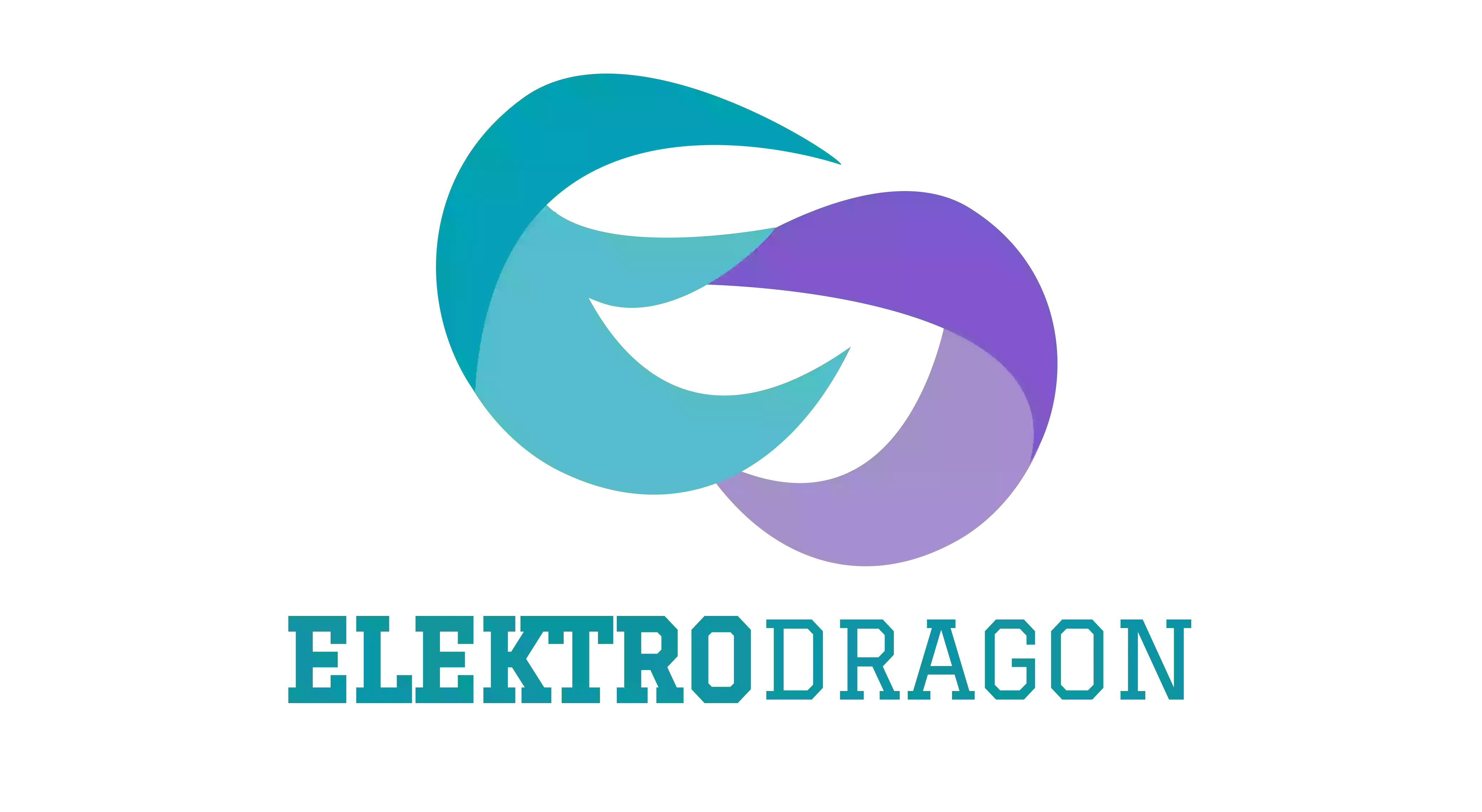 MAX ELEKTRO TW STUDIO AGD - ELEKTRO DRAGON