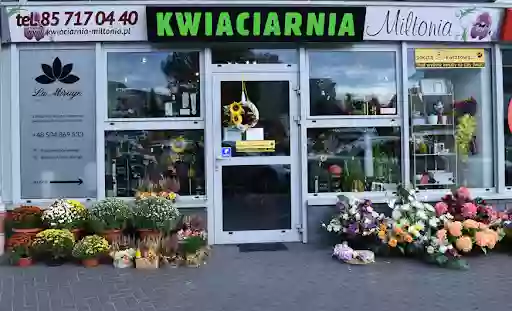 Kwiaciarnia - Miltonia