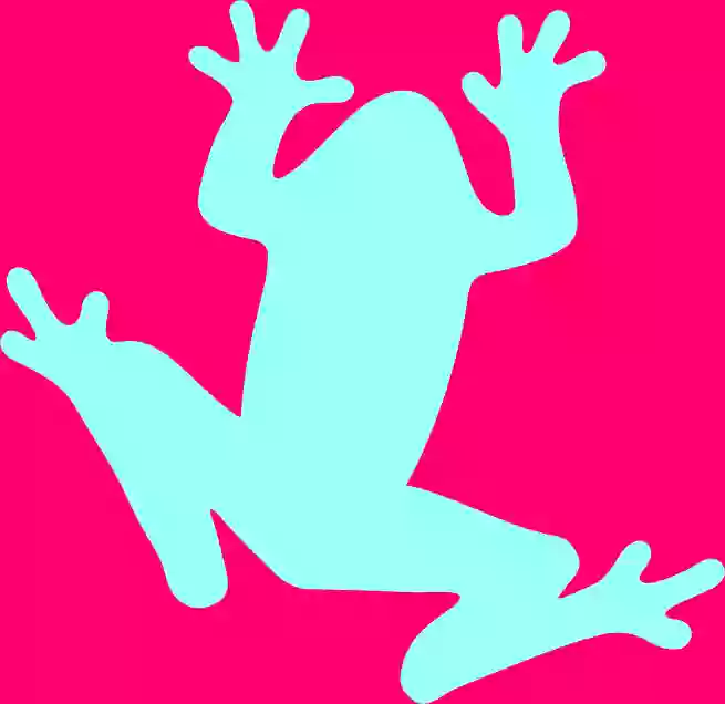 Szkoła językowa - Speaky Frog