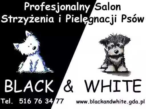 Salon Black & White. Strzyżenie i pielęgnacja psów