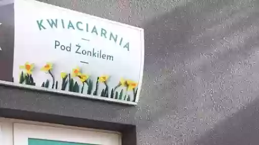 Kwiaciarnia pod żonkilem