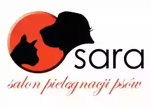 Strzyżenie psów- Salon SARA