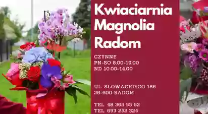 Magnolia Radom