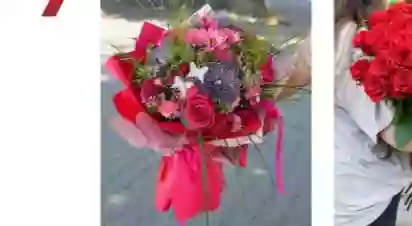 Kwiaciarnia "Miltonia"