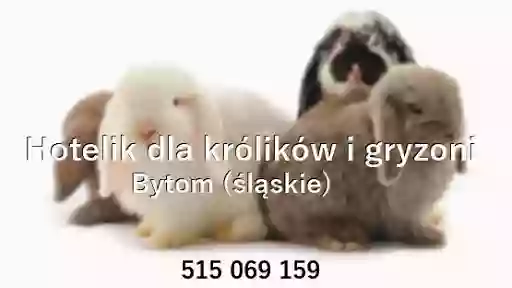 Hotelik dla królików i gryzoni&usługi groomerskie dla zwierząt
