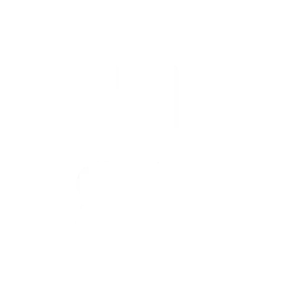 Nest Budget Toruń