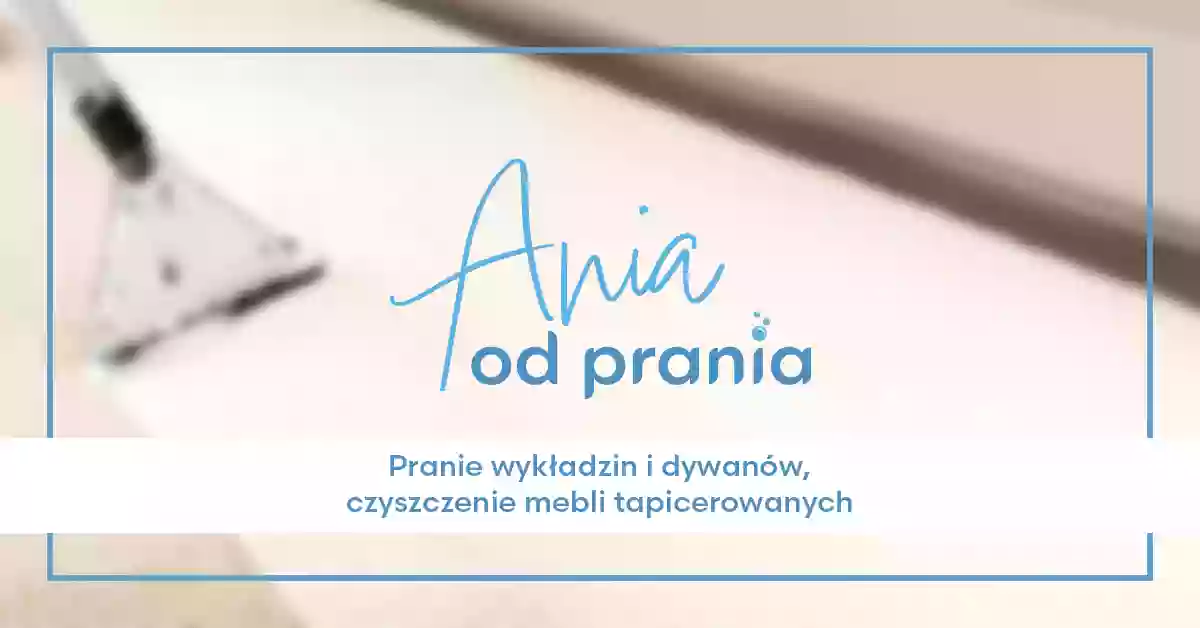 Ania Od Prania | profesjonalne pranie ekstrakcyjne Włocławek