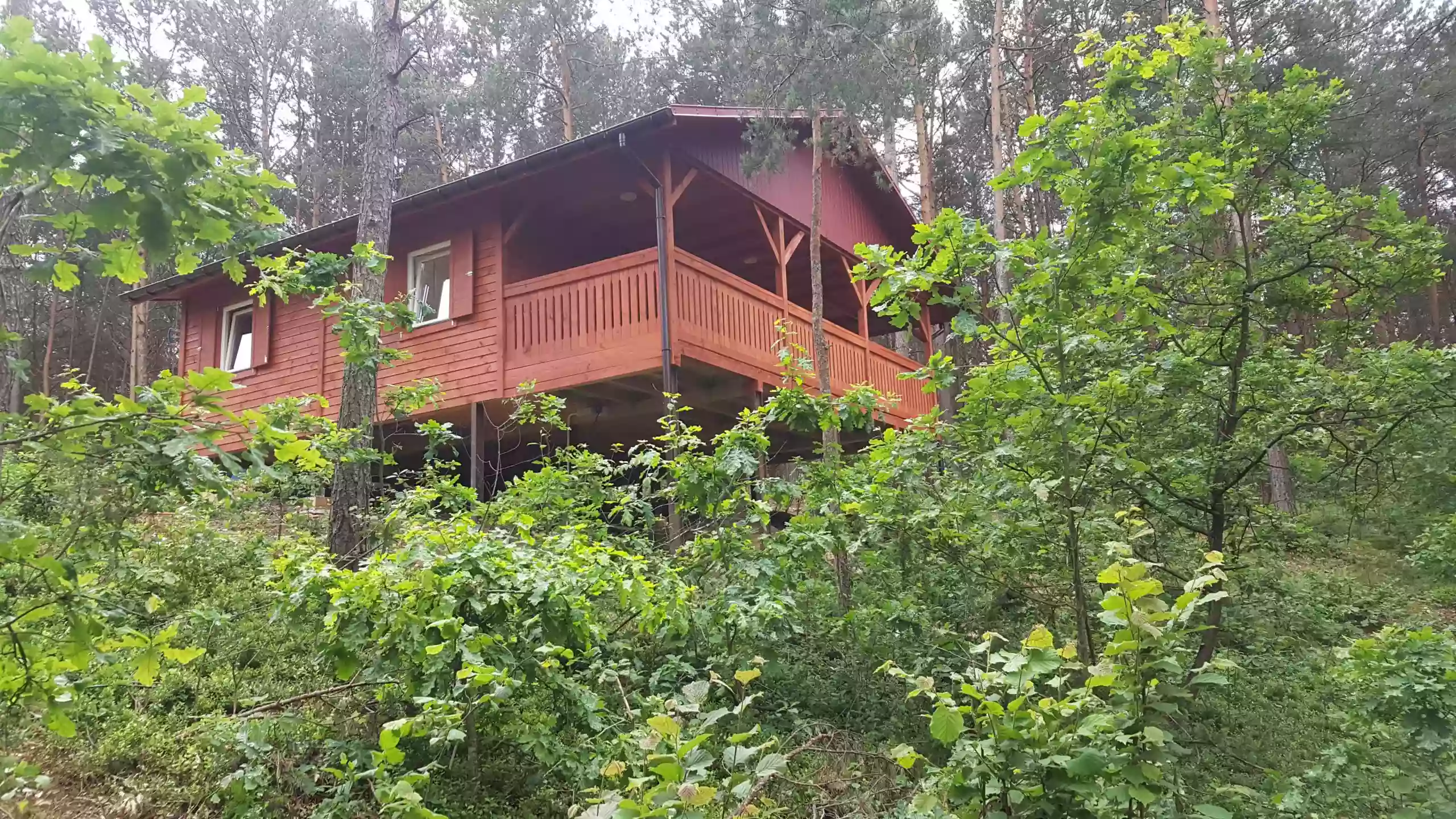 Domki w Sosnowym Lesie