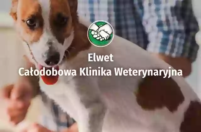 Elwet 24h - Klinika Weterynaryjna