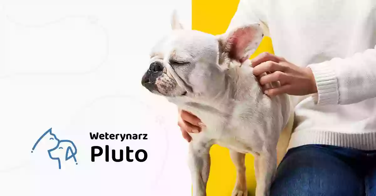 Gabinet Weterynaryjny PLUTO