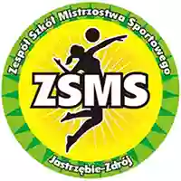 Zespół Szkół Mistrzostwa Sportowego w Jastrzębiu-Zdroju