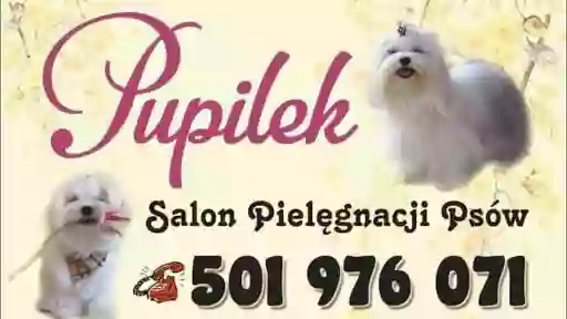 Psi Fryzjer Pupilek Salon Pielęgnacji Psów