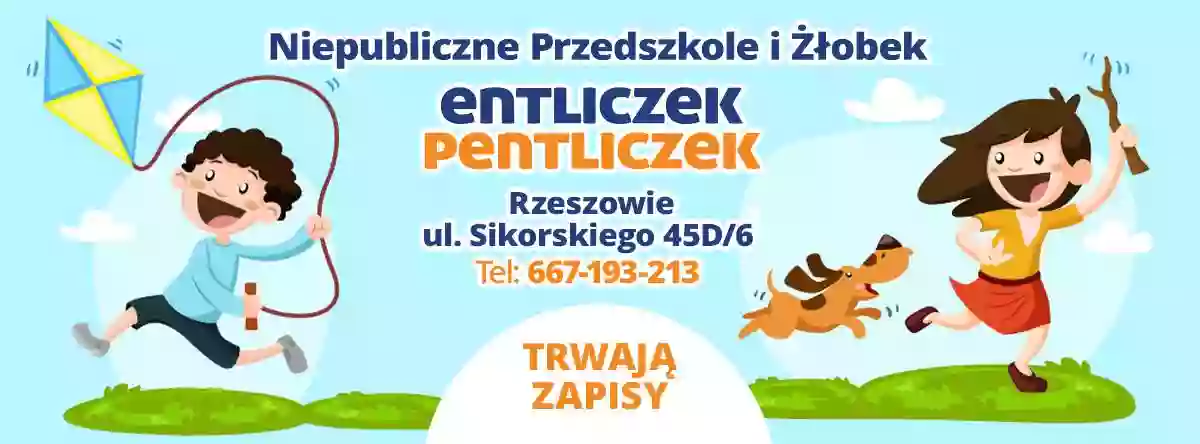 Niepubliczny Żłobek Entliczek Pentliczek