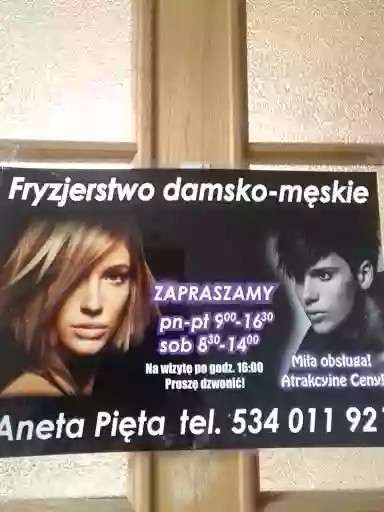 Zakład fryzjerski Aneta Pięta