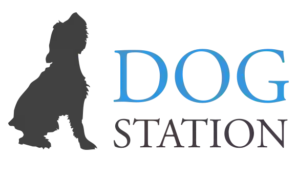 Dog Station - Profesjonalny Hotel dla Psów, Centrum Szkoleń i Opieki Dziennej