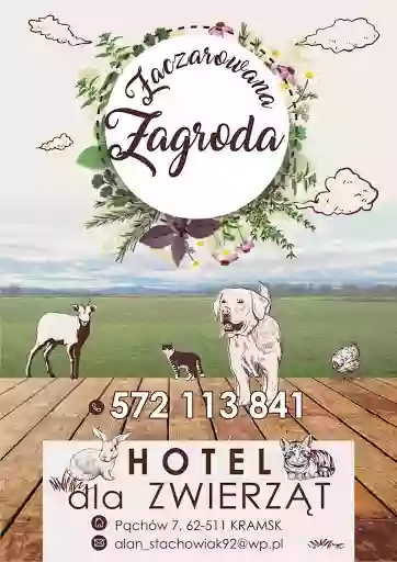 Zaczarowana Zagroda Hotel dla zwierząt