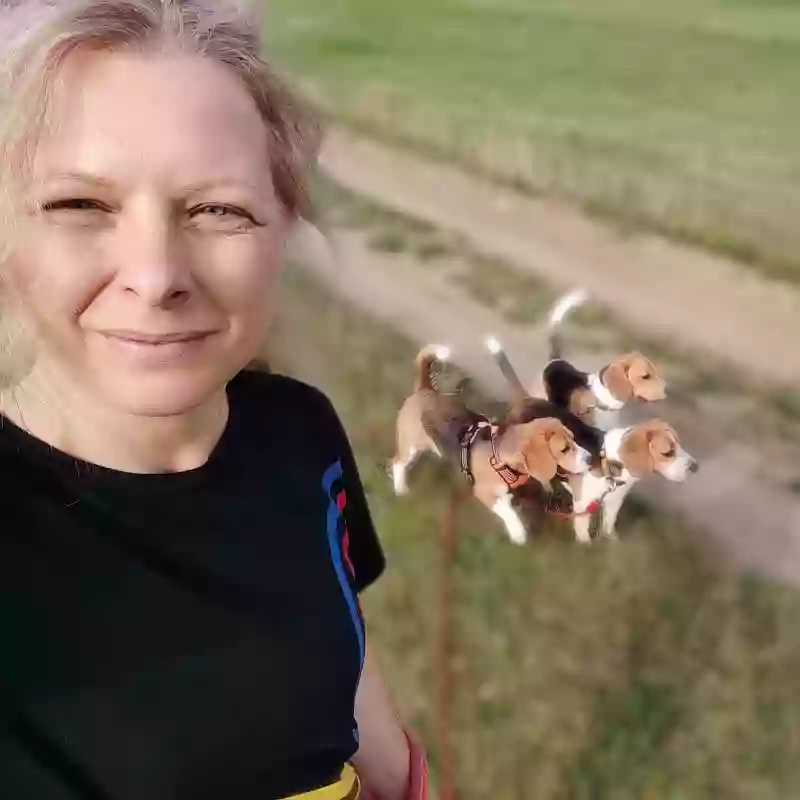 spacery z psem, trener psów, zoopsycholog Anna Wilczek