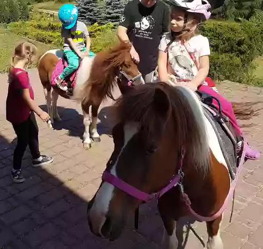 Konie Kucyki Maluch Wio Olsztyn atrakcje dla dzieci