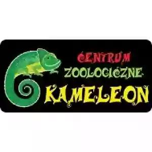 Sklep zoologiczny Kameleon w Galeria Lider
