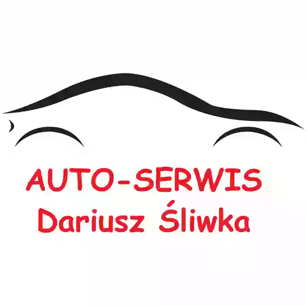 "AUTO SERWIS" DARIUSZ ŚLIWKA