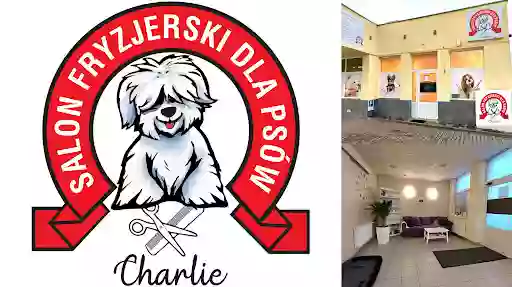 Salon Fryzjerski dla Psów "Charlie"