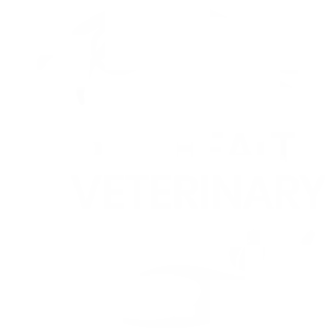One Health Veterinary Darlinghurst (Darlo Vet)