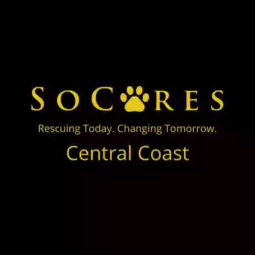 Socares Central Coast Animal Shelter - Erina