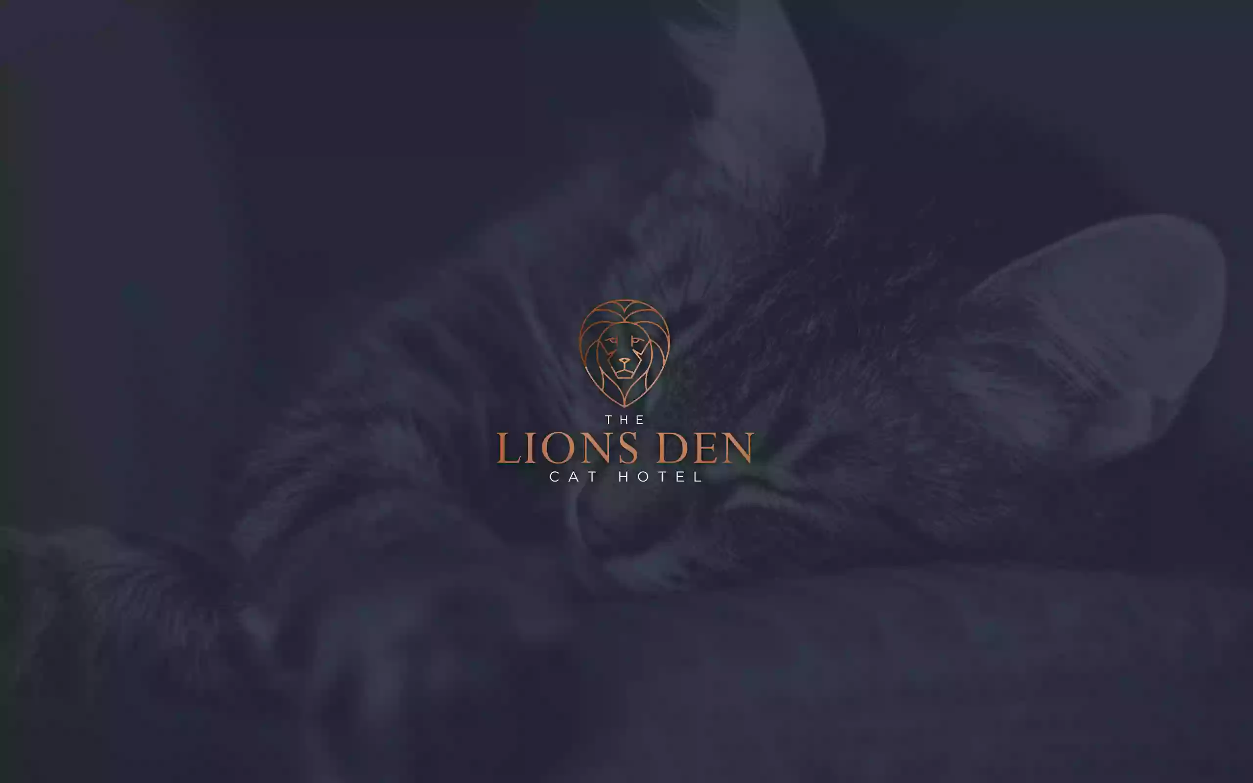 The Lions Den Sydney Cat Hotel