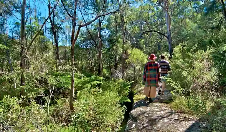 Yeramba Lagoon loop track