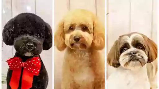 Pup Culture Dog Grooming
